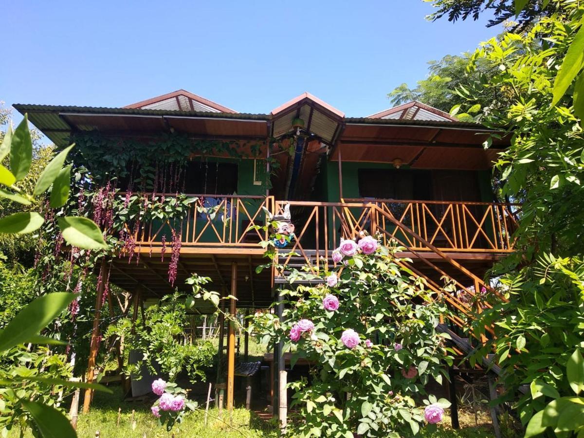 Hotel Mist Valley Masinagudi Zewnętrze zdjęcie