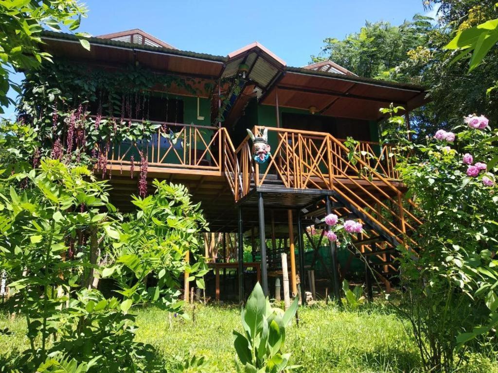 Hotel Mist Valley Masinagudi Zewnętrze zdjęcie